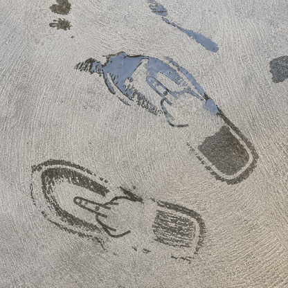 Middle Finger Flip Flops